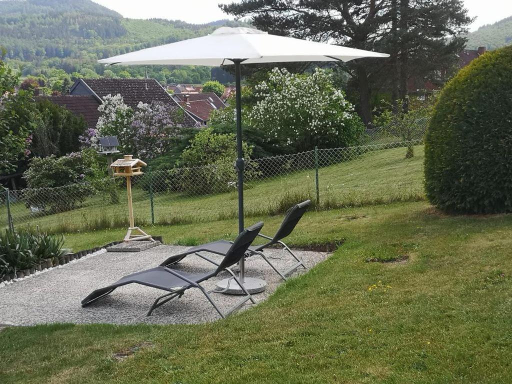 Vila Casa Carlotta - Keine Monteure Langelsheim Exteriér fotografie